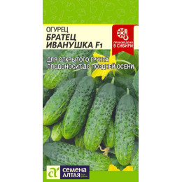 Огурец Братец Иванушка F1/Агрофирма 'Семена Алтая'/семена упакованы в цветном пакете 0,3 гр.