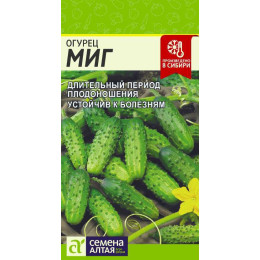 Огурец Миг/Агрофирма 'Семена Алтая'/семена упакованы в цветном пакете 0,5 гр.