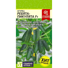 Огурец Ребята-Пикулята F1/Агрофирма 'Семена Алтая'/семена упакованы в цветном пакете 5 шт.