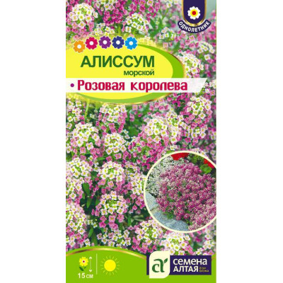 Цветы Алиссум Розовая Королева/Агрофирма 'Семена Алтая'/семена упакованы в цветном пакете 0,1 гр.