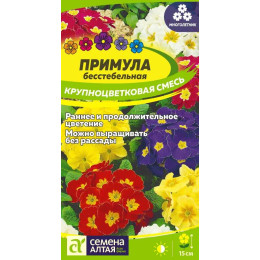Цветы Примула Крупноцветковая смесь/Агрофирма 'Семена Алтая'/семена упакованы в цветном пакете 0,02 гр. многолетник