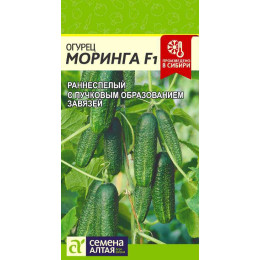Огурец Моринга F1/Агрофирма 'Семена Алтая'/семена упакованы в цветном пакете 0,3 гр.