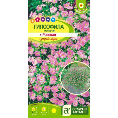Цветы Гипсофила Изящная Розовая/Агрофирма 'Семена Алтая'/семена упакованы в цветном пакете 0,3 гр.