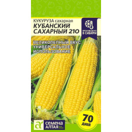 Кукуруза Кубанский Сахарный 210/Агрофирма 'Семена Алтая'/семена упакованы в цветном пакете 5 гр.
