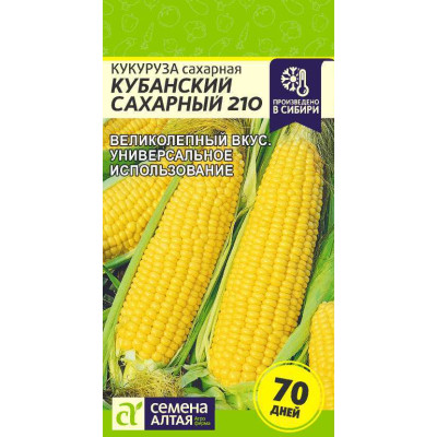 Кукуруза Кубанский Сахарный 210/Агрофирма 'Семена Алтая'/семена упакованы в цветном пакете 5 гр.