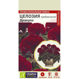 Цветы Целозия Дракула гребенчатая/Агрофирма 'Семена Алтая'/семена упакованы в цветном пакете 3 шт.