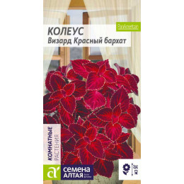 Цветы Колеус Визард Красный бархат/Агрофирма 'Семена Алтая'/семена упакованы в цветном пакете 10 шт.