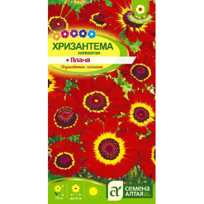 Цветы Хризантема Пламя килеватая/Агрофирма 'Семена Алтая'/семена упакованы в цветном пакете 0,1 гр.