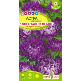 Цветы Астра Тысяча чудес темно-синяя карликовая/Агрофирма 'Семена Алтая'/семена упакованы в цветном пакете 0,2 гр.