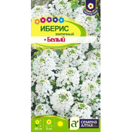 Цветы Иберис Белый зонтичный/Агрофирма 'Семена Алтая'/семена упакованы в цветном пакете 0,3 гр .