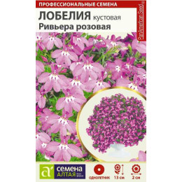 Цветы Лобелия Ривьера розовая кустовая/Агрофирма 'Семена Алтая'/семена упакованы в цветном пакете 0,02г. НОВИНКА