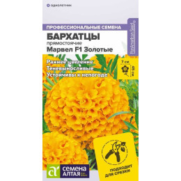 Цветы Бархатцы Марвел F1 Золотые/Агрофирма 'Семена Алтая'/семена упакованы в цветном пакете 5 шт.