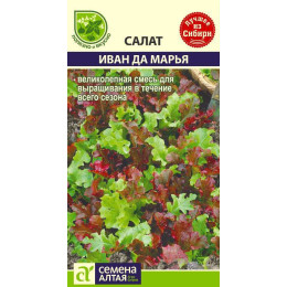 Зелень Салат Иван да Марья смесь/Агрофирма 'Семена Алтая'/семена упакованы в цветном пакете 0,5 гр. НОВИНКА!