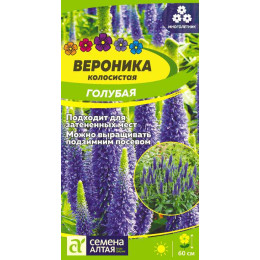 Цветы Вероника Голубая колосистая/Агрофирма 'Семена Алтая'/семена упакованы в цветном пакете 0,1гр.