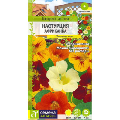 Цветы Настурция Африканка большая/Агрофирма 'Семена Алтая'/семена упакованы в цветном пакете 1 гр. Вьющиеся растения