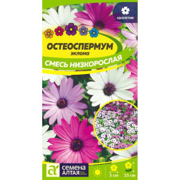 Цветы Остеоспермум Смесь низкорослая/Агрофирма 'Семена Алтая'/семена упакованы в цветном пакете 0,1 гр. НОВИНКА