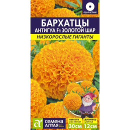 Цветы Бархатцы Антигуа Золотой шар/Агрофирма 'Семена Алтая'/семена упакованы в цветном пакете 5 шт. Низкорослые гиганты