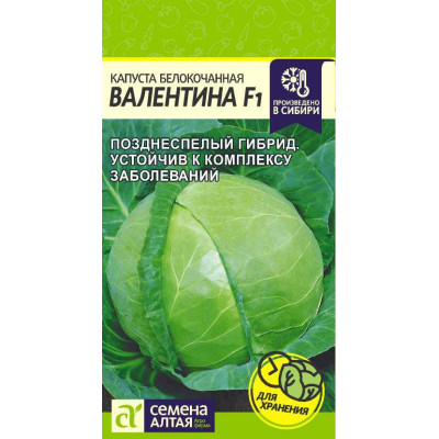 Капуста Валентина F1/Агрофирма 'Семена Алтая'/семена упакованы в цветном пакете 0,1 гр.