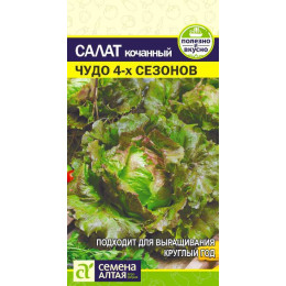 Зелень Салат Чудо 4 сезонов/Агрофирма 'Семена Алтая'/семена упакованы в цветном пакете 0,5 гр.