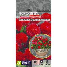 Цветы Маргаритка Белиссима Красная шапочка/Агрофирма 'Семена Алтая'/семена упакованы в цветном пакете 8 шт.