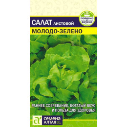 Зелень Салат Молодо-Зелено/Агрофирма 'Семена Алтая'/семена упакованы в цветном пакете 0,5 гр.