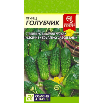 Огурец Голубчик F1/Агрофирма 'Семена Алтая'/семена упакованы в цветном пакете 0,3 гр.