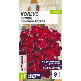Цветы Колеус Визард Красный бархат/Агрофирма 'Семена Алтая'/семена упакованы в цветном пакете 8 шт.