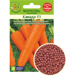 Морковь Гранулы Канада/Агрофирма 'Семена Алтая'/семена упакованы в цветном пакете 100 шт. (1/500)