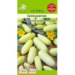 Огурец Блондинчик/Агрофирма 'Семена Алтая'/семена упакованы в цветном пакете 0,5 гр.