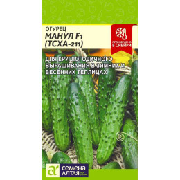 Огурец Манул (ТСХА-211) F1/Агрофирма 'Семена Алтая'/семена упакованы в цветном пакете 5 шт.