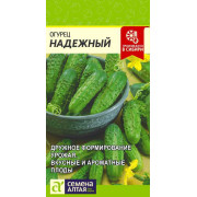 Огурец Надежный/Агрофирма 'Семена Алтая'/семена упакованы в цветном пакете 0,5 гр.
