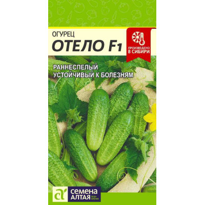 Огурец Отело F1/Агрофирма 'Семена Алтая'/семена упакованы в цветном пакете 0,2 гр.