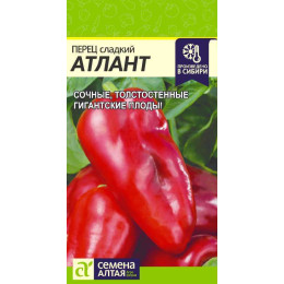 Перец Атлант/Агрофирма 'Семена Алтая'/семена упакованы в цветном пакете 0,1 гр.