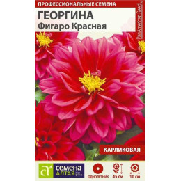 Цветы Георгина Фигаро Красная махровая/Агрофирма 'Семена Алтая'/семена упакованы в цветном пакете 5 шт.