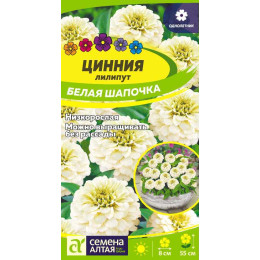 Цветы Цинния лилипут Белая Шапочка/Агрофирма 'Семена Алтая'/семена упакованы в цветном пакете 0,3 гр.