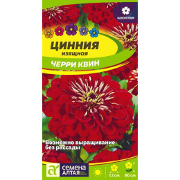 Цветы Цинния Черри Квин георгиноцветковая/Агрофирма 'Семена Алтая'/семена упакованы в цветном пакете 0,3 гр.