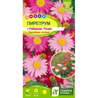 Цветы Пиретрум Робинзон Ризен/Агрофирма 'Семена Алтая'/семена упакованы в цветном пакете 0,2 гр. многолетник