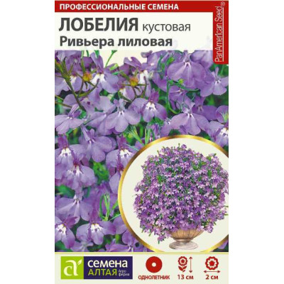 Цветы Лобелия Ривьера лиловая кустовая/Агрофирма 'Семена Алтая'/семена упакованы в цветном пакете 8 шт.