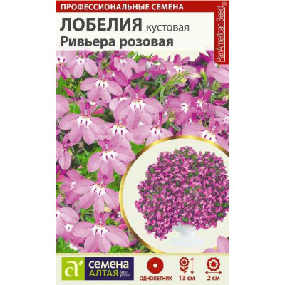 Цветы Лобелия Ривьера розовая кустовая/Агрофирма 'Семена Алтая'/семена упакованы в цветном пакете 8 шт.
