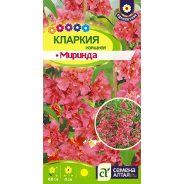 Цветы Кларкия Миринда изящная/Агрофирма 'Семена Алтая'/семена упакованы в цветном пакете 0,3 гр.