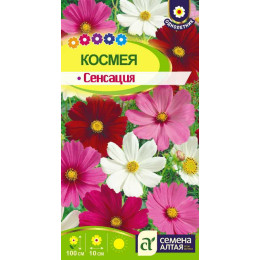 Цветы Космея Сенсация/Агрофирма 'Семена Алтая'/семена упакованы в цветном пакете 0,5 гр.