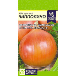 Лук Чипполино/Агрофирма 'Семена Алтая'/семена упакованы в цветном пакете 0,5  гр.