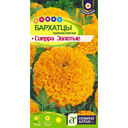 Цветы Бархатцы Сиерра Золотые/Агрофирма 'Семена Алтая'/семена упакованы в цветном пакете 0,3 гр.