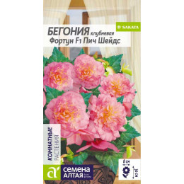 Цветы Бегония Фортун Пич шейдс клубневая/Агрофирма 'Семена Алтая'/семена упакованы в цветном пакете 5 шт.
