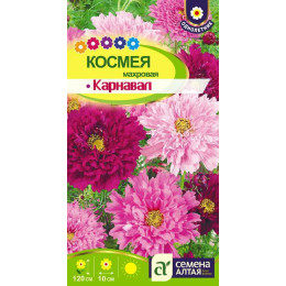 Цветы Космея Карнавал махровая/Агрофирма 'Семена Алтая'/семена упакованы в цветном пакете 0,5 гр.