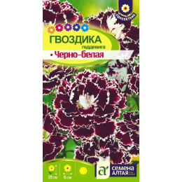 Цветы Гвоздика Черно-белая геддевига/Агрофирма 'Семена Алтая'/семена упакованы в цветном пакете 0,04 гр.