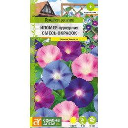 Цветы Ипомея Пурпурная смесь/Агрофирма 'Семена Алтая'/семена упакованы в цветном пакете 0,5 гр. Вьющиеся растения