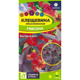 Цветы Клещевина Гибсона/Агрофирма 'Семена Алтая'/семена упакованы в цветном пакете 3 шт.