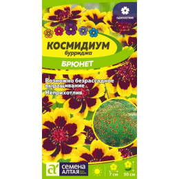 Цветы Космидиум Брюнет/Агрофирма 'Семена Алтая'/семена упакованы в цветном пакете 0,01 гр.