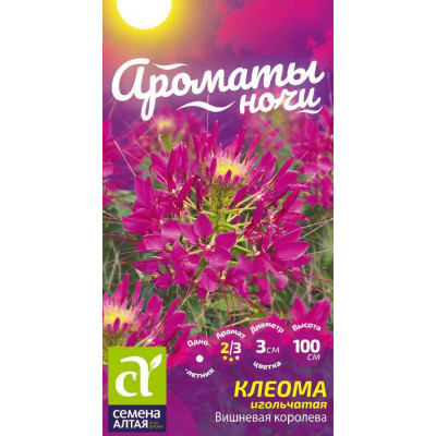 Цветы Клеома Вишневая Королева/Агрофирма 'Семена Алтая'/семена упакованы в цветном пакете 0,3 г